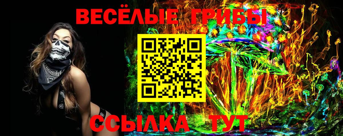 Мценск  Псилоцибиновые грибы Magic Shrooms  Вход с VPN 
