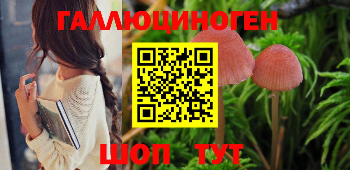 Псилоцибиновые грибы Psilocybe Мценск